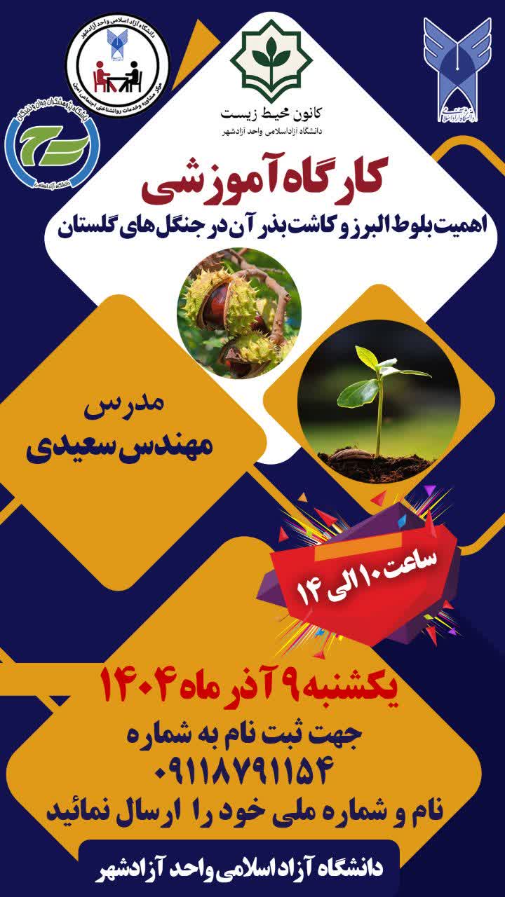 اهمیت بلوط البرز و کاشت بذر آن در جنگل‌های گلستان