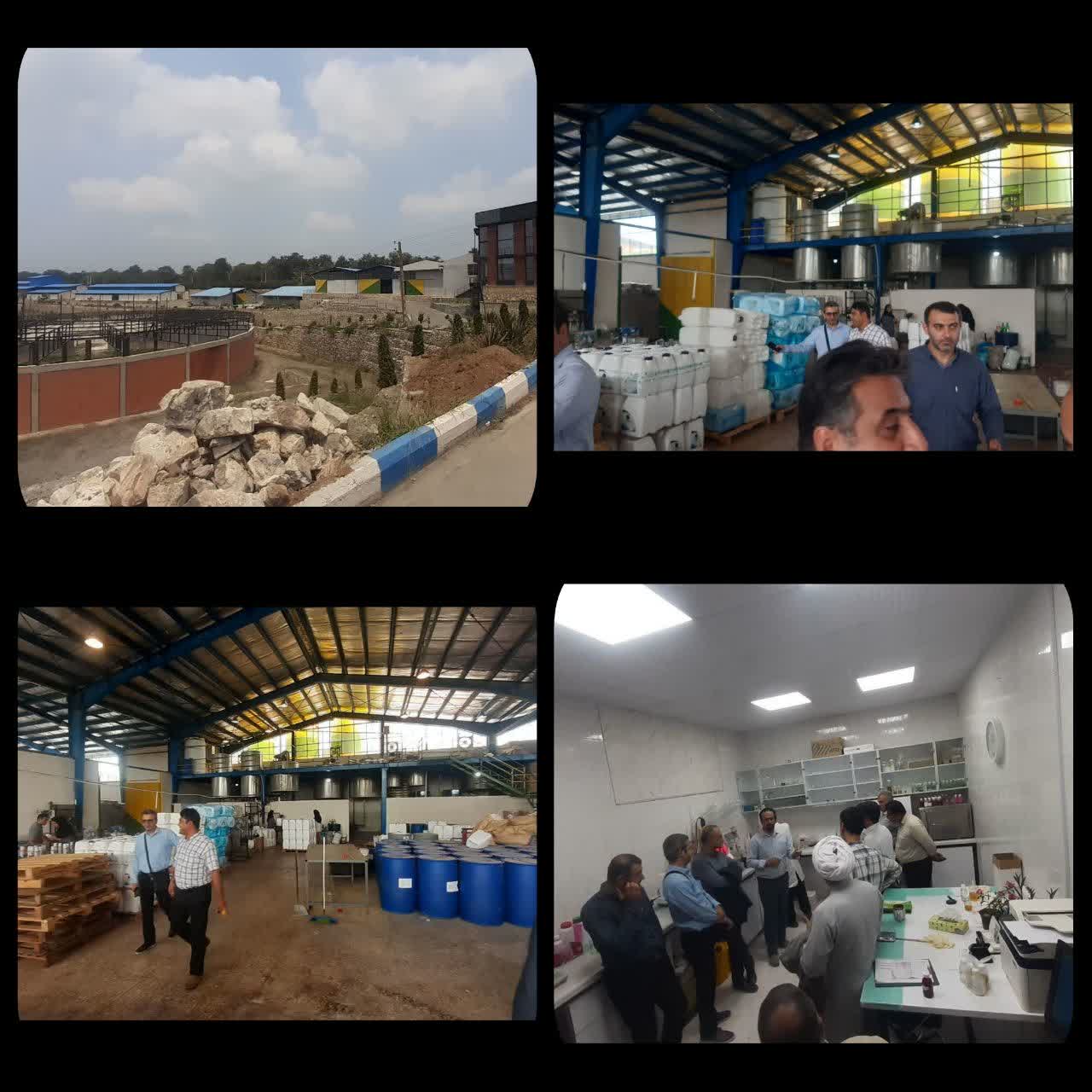 راهیان پیشرفت